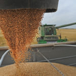 Total wheat ending stocks for 2019/20 were raised to 6.100 million tonnes, from the August estimate of 5.500 million. That compares with the 2018/19 wheat carryout of 6.184 million tonnes. | File photo