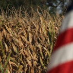 Growing strength in the United States dollar has hurt commodity prices on the Chicago Board of Trade (CBOT), according to Terry Reilly, grains analyst for Futures International in Chicago, Ill. | File photo