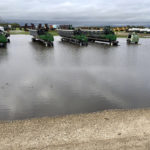 Harvest has been delayed in many areas of Manitoba after 50 to 125 millimetres of rain has fallen since Sept. 20. | Twitter/@CameronHild photo