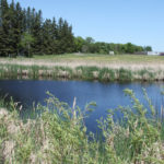 Like all policies, the devil is in the details. In this case, one of the key details is what constitutes a wetland. | File photo