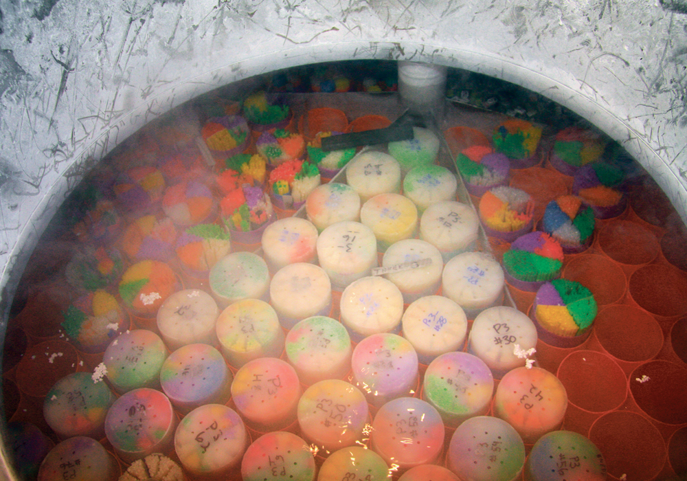 Agriculture Canada’s Canadian Animal Genetic Resources in Saskatoon holds a large collection of frozen semen and some embryos from cattle, pigs, sheep, goats, horses, poultry, deer and elk. Everything is stored in liquid nitrogen, colour coded and entered into a database.  |  Barbara Duckworth photo