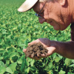 Doug Zink checks the quality of soil in his soybean field near Carrington, North Dakota, in August. | REUTERS/Dan Koeck photo