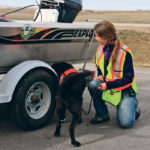 Dogs have been trained to detect zebra mussels on boats, as seen in this photograph, and have now also learned how to sniff out clubroot. | File photo