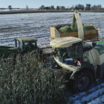 A crew at Leeuwenburgh Farms chops silage corn Oct. 2 near Diamond City, Alta., after a heavy snowfall hit the region on the last weekend of September. As temperatures warmed in the afternoon of this harvest, the truck had to be pushed with a tractor due to muddy conditions. | Adrian Moens/AJM Seeds photo