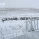 Cool and wet conditions delaying harvest operations across the North American durum growing regions are cutting into the quality of the crop in both the United States and Canada. | Twitter/@bigslicksprayin photo