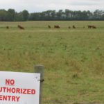 Trace-out activities, which involve testing herds that received animals from the infected herd within the previous seven years, eventually involved 15 herds in B.C., 22 in Alberta and one in Saskatchewan. No further cases of bovine TB were found.
| File photo