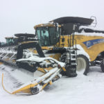 With significant amounts of weather-damaged wheat filling grain bins across the West this year, farmers will be looking for any advantage they can find when it comes time to market this year’s crop.
| File photo