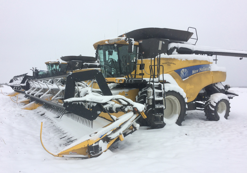 With significant amounts of weather-damaged wheat filling grain bins across the West this year, farmers will be looking for any advantage they can find when it comes time to market this year’s crop.  | File photo