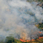 Deforestation in Brazil is partly blamed on a need for farmers in that country to increase production to meet livestock feed demands from Europe, which it can’t meet itself because of a refusal to grow genetically modified crops. | REUTERS/Bruno Kelly photo