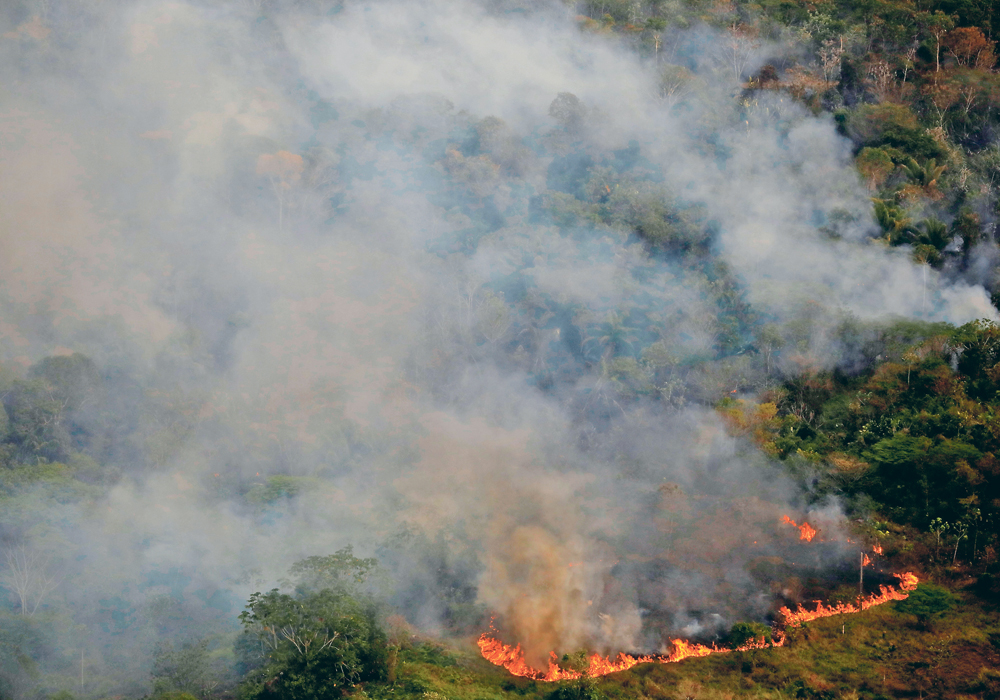 Deforestation in Brazil is partly blamed on a need for farmers in that country to increase production to meet livestock feed demands from Europe, which it can’t meet itself because of a refusal to grow genetically modified crops.  |  REUTERS/Bruno Kelly photo