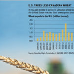 Wheat exports to U.S. fall by half