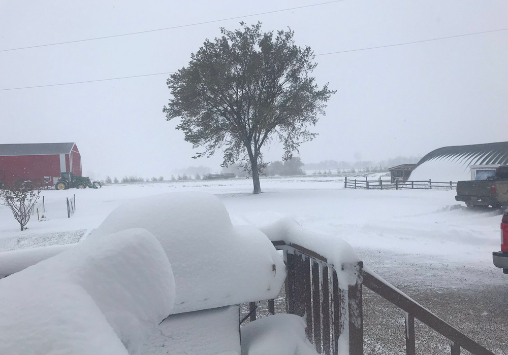 A massive snowstorm, just before the Thanksgiving weekend, dumped 15 to 40 centimetres of snow on the south-central region of the province. | Twitter/@farmergirl591 photo