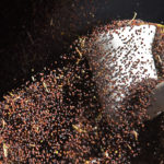 Agriculture Canada is forecasting a bloated 4.5 million tonnes of carryout at the end of 2019-20. A senior executive with Viterra believes it could be closer to eight million tonnes.
| File photo