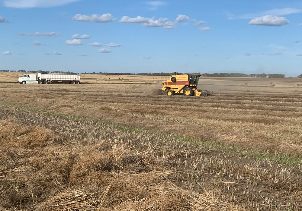 The overall harvest progress increased to 69 percent done, from 55 percent the previous week. That compares with the five-year average of 88 percent for this time of year. | File photo