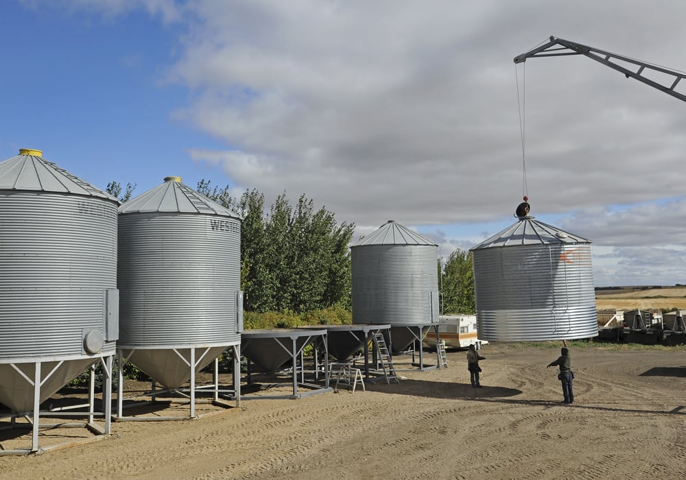 In 2018, Agriculture Canada and the Canadian Food Inspection Agency launched Canada-wide consultations to determine if new seed royalties are needed and supported by stakeholders in the Canadian agriculture sector. | File photo