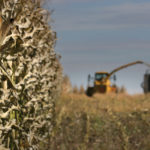 While the foot or more of heavy snow that blanketed much of the province over the Thanksgiving weekend has melted, saturated fields continue to limit the corn silage harvest and hay cutting. | File photo