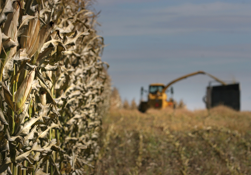 While the foot or more of heavy snow that blanketed much of the province over the Thanksgiving weekend has melted, saturated fields continue to limit the corn silage harvest and hay cutting. | File photo
