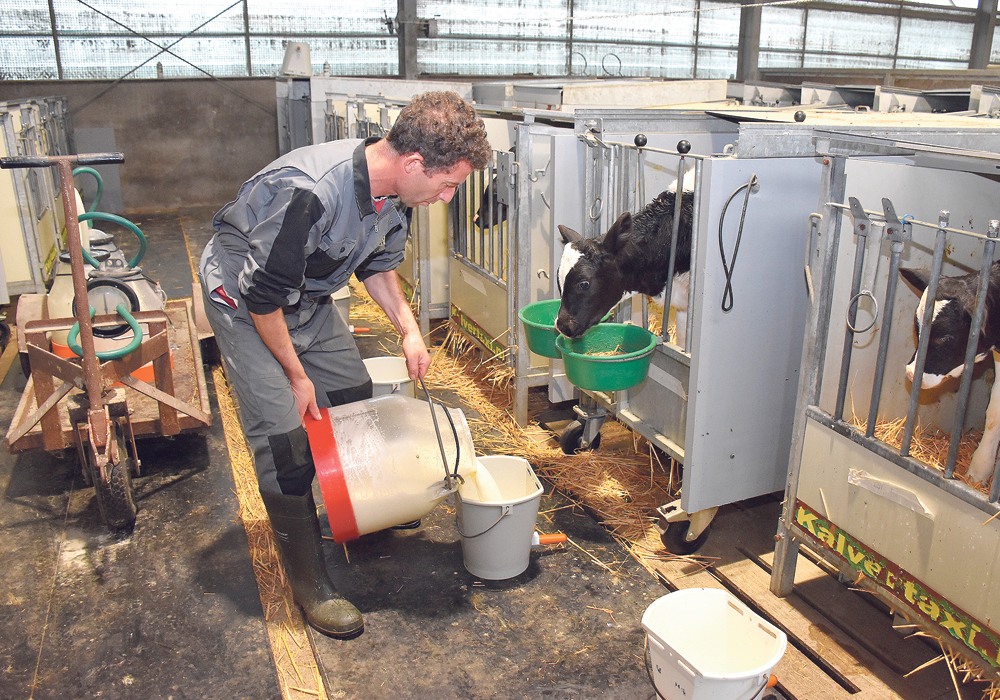 Siem de Boer prepares milk for his calves on his farm near Edam, the Netherlands. He says he is happy with the results achieved using AHV International’s products.  |  Chris McCullough photo