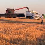 With little precipitation during the week ended Oct. 21, the harvest rose from 69 to 83 per cent complete province-wide. However, it's still 10 points behind the average pace. | File photo