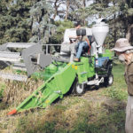 Jim Ternier watches as Justin Gerspacher of the Prairie Agricultural Machinery Institute in Humboldt, Sask., harvests his crop of Triticum turgdium, an ancient ancestor of modern-day durum. | Becky Zimmer photo
