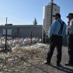 Mark Tschetter, the minister at the Jumbo Valley Hutterite Colony near Granum, Alta., has never been in court. But he will be in a courtroom in nearby Fort Macleod in late November to see what happens to people accused of a Sept. 2 break and enter at the colony’s turkey operation.
Tschetter and others in the agriculture community welcomed news last week of charges laid against four of an estimated 35 people who entered and temporarily occupied the colony’s turkey barns, posted video on social media and criticized the turkeys’ living conditions and treatment. Dozens of other people held signs and protested along nearby Highway 2 at the same time.