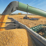 Despite the difficult growing season, overall yields are close to long-term averages and some regions had excellent yields. Where yields were poor, crop insurance will provide support. Crop insurance quality factors will also help to compensate for downgrading.
| File photo