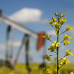 This is life in the afterglow of the commodity bull market and it’s bad for most Canadians. Farmers and oilfield workers know that directly, finding it hard to cover operating costs, to find work, or to find the confidence to decide to reinvest in operations. | File photo