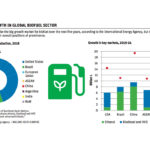 Biofuel forecast may prop up prices