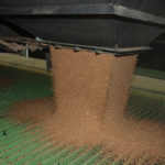 Wheat bids in Western Canada were mixed for the week ended Oct. 31. | File photo