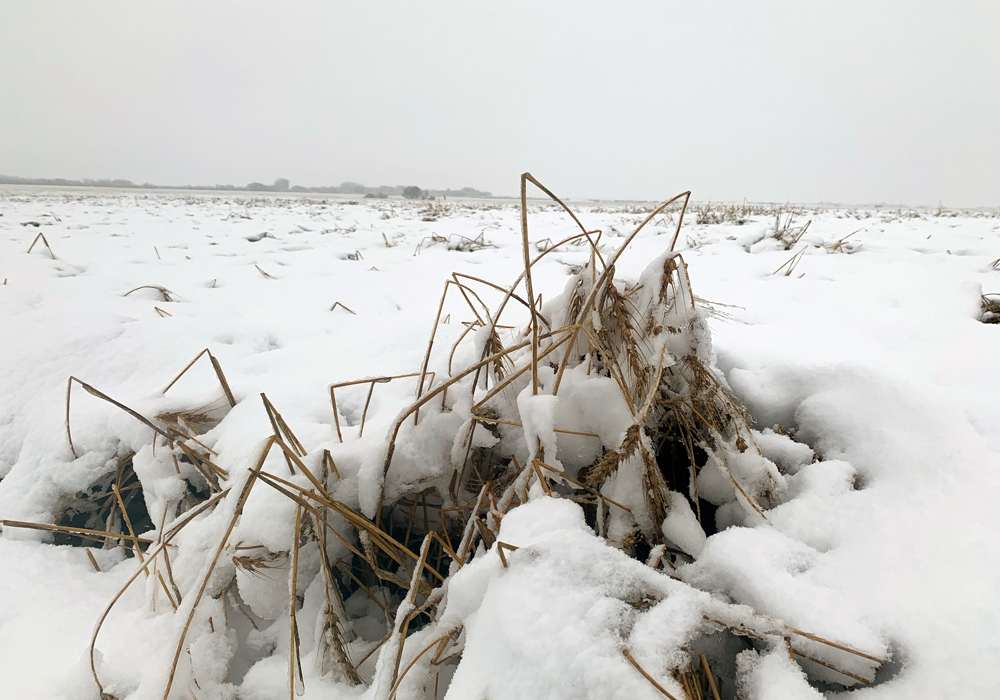 Declaring an agricultural disaster allows the county to access additional funds from the Alberta government. Earlier this year, Lac Ste. Anne County also declared an agricultural disaster. | File photo