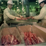 Global meat shippers have three years to make the most of the outbreak of a fatal pig disease in China before Chinese pork imports peak, according to a report released by the U.S. pork industry, which is competing for sales against Europe and South America. | File photo
