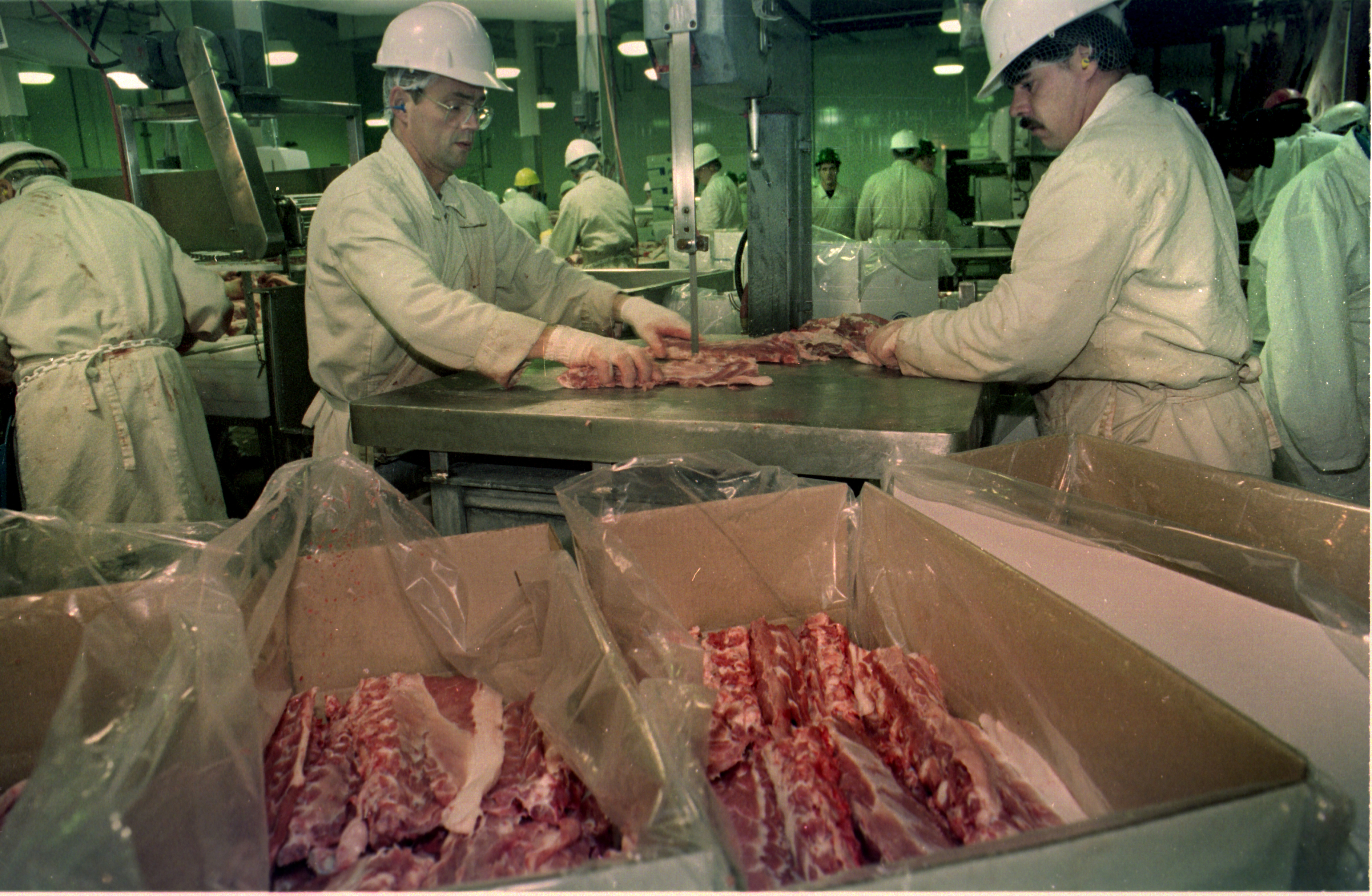Global meat shippers have three years to make the most of the outbreak of a fatal pig disease in China before Chinese pork imports peak, according to a report released by the U.S. pork industry, which is competing for sales against Europe and South America. | File photo