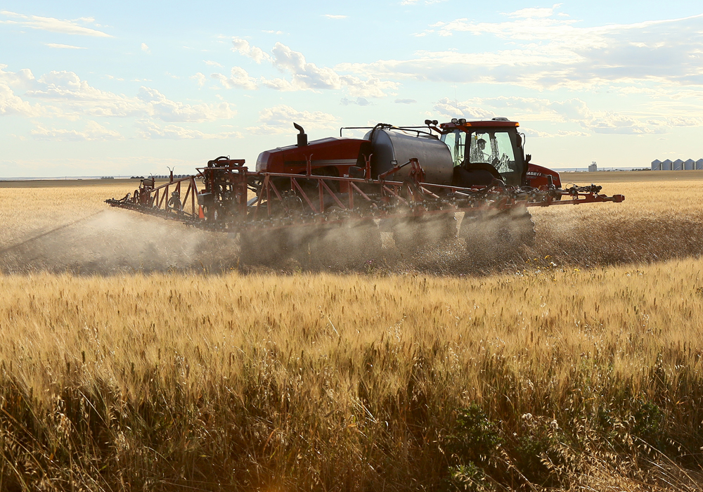 The ban itself doesn’t extend to agricultural products, but farmers are also calling for Thailand to ban all imports of crops from countries where the chemicals are used.  | File photo