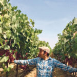 Karn Manhas’s company, Terramera, develops natural alternatives to synthetic chemical pesticides and fertilizers. | Supplied photo