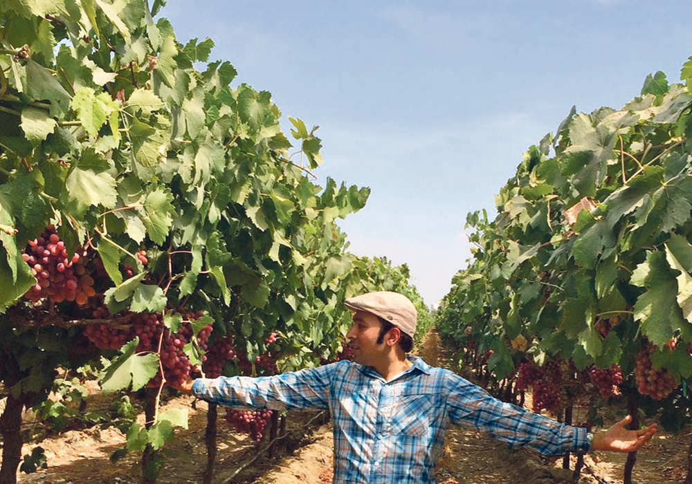 Karn Manhas’s company, Terramera, develops natural alternatives to synthetic chemical pesticides and fertilizers.  |  Supplied photo