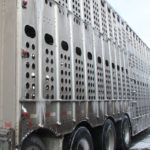 A well-designed trailer provides maximum clearance, adequate ventilation, reasonable loading angles, rounded corners and non-slip floors. | File photo