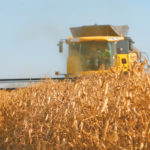 Today’s pulse protein overnight success story began at least back in the 1960s, with researchers at universities and the federal National Research Council beginning to explore the potential of crops like peas and fababeans.
| File photo