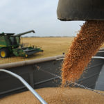 Global productivity in agriculture production continues to grow healthily, but not yet fast enough to feed the expected 10 billion people on the planet by 2050.
| File photo