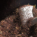 Exporters shipped out 2.01 million tonnes through week 12 of the 2019-20 campaign, up slightly from the 1.98 million tonnes the same time last year.
| File photo