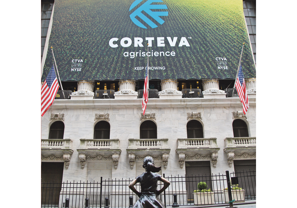 The bronze Fearless Girl keeps an eye on the new Corteva as it launched on the NYSE.  |  Michael Raine photo
