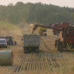 If passed, farms with five or fewer employees will be exempt from needing workers insurance. These farms make up 78 percent, or 32,000, of all farms in the province. The remaining 22 percent, or 9,000, are considered large. | File photo