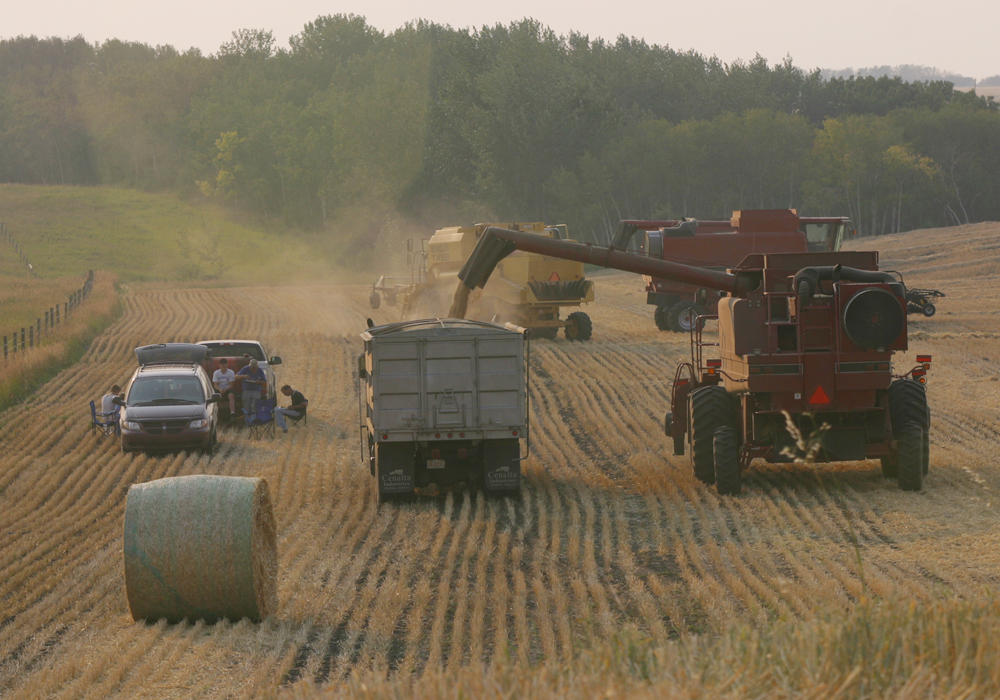 Farm labour exemptions proposed | The Western Producer