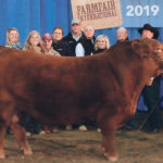 The Payne family of Greenwood Limousin and Angus celebrate the supreme win for their Limousin bull at Farmfair International in Edmonton. | Jeremy Simes photo