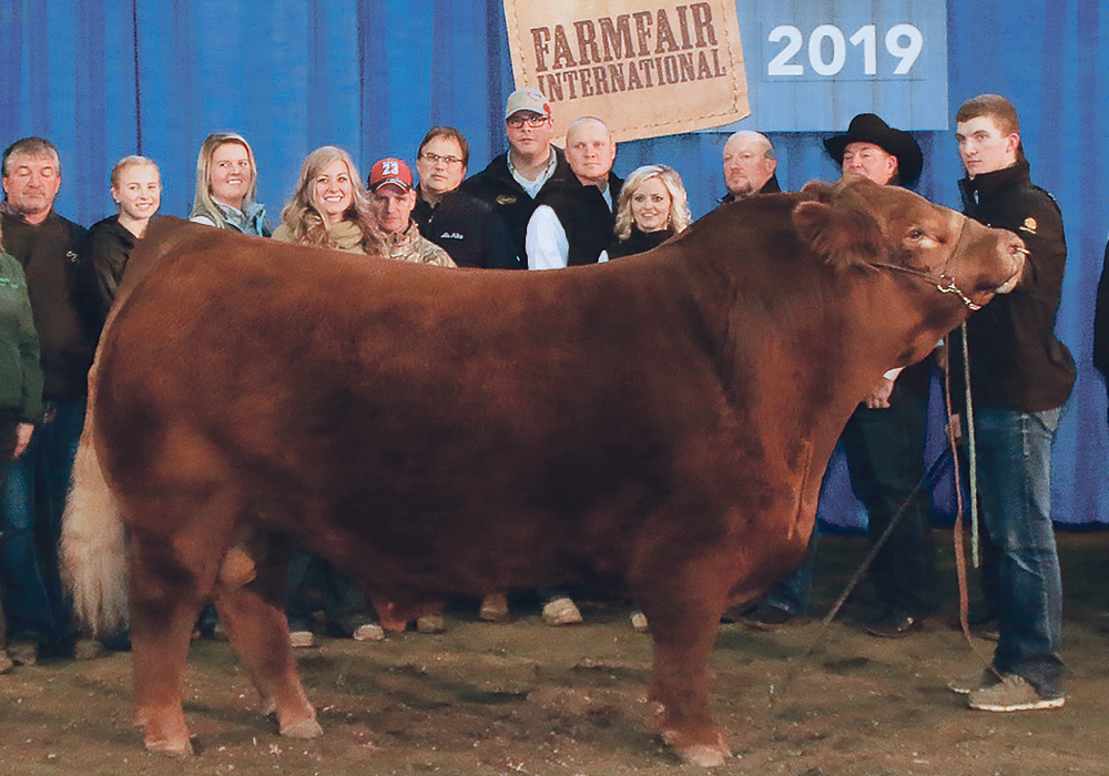 The Payne family of Greenwood Limousin and Angus celebrate the supreme win for their Limousin bull at Farmfair International in Edmonton.  |  Jeremy Simes photo