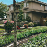 The owners of City Beet Farm have agreements with Vancouver homeowners to convert front and backyards into garden space. The produce is sold through the community shared agriculture program and in pop-up markets in Vancouver. | City Beet Farm photo