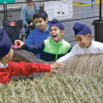 Students from the Edmonton Khalsa School were able to experience the petting zoo at Farmfair International Nov. 6. | Jeremy Simes photo