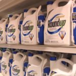 Glyphosate is the active ingredient in Roundup, a Monsanto herbicide. Bayer purchased Monsanto in 2016. The deal was finalized in 2018. | File photo