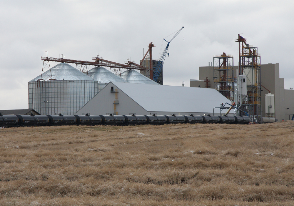 Saskatchewan processed 40 to 45 percent of its canola crop, worth about $3 billion in revenue. Increasing the crush to 75 percent would add $2 billion, the government estimates.  | File photo
