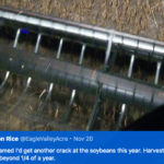 With 93 percent of the crop combined, farmers were optimistic that they would still be able to finish, although some of the crop will likely be left out until the spring. | Twitter/@EagleValleyAcre photo