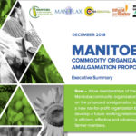 Five commodity groups, representing corn, flax, sunflowers, winter cereals and wheat-barley growers, are planning to join forces in Manitoba. The steering committee, behind the new group, unveiled the name Nov. 25. | Screencap via mbcrops.ca